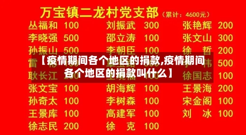 【疫情期间各个地区的捐款,疫情期间各个地区的捐款叫什么】