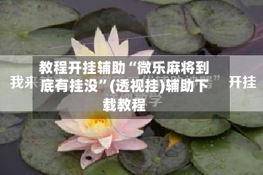 教程开挂辅助“微乐麻将到底有挂没”(透视挂)辅助下载教程