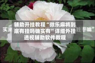 辅助开挂教程“微乐麻将到底有挂吗确实有”详细外挂透视辅助软件教程