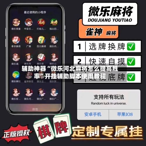 辅助神器“微乐河北麻将怎么提高胜率”开挂辅助脚本使用教程