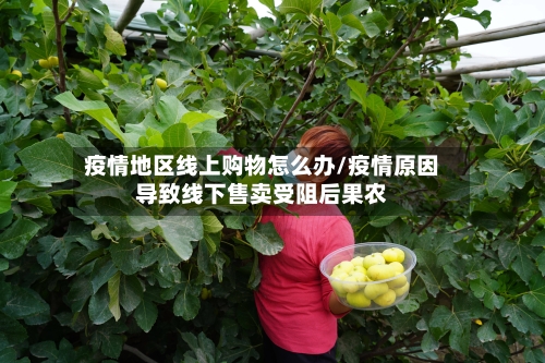 疫情地区线上购物怎么办/疫情原因导致线下售卖受阻后果农