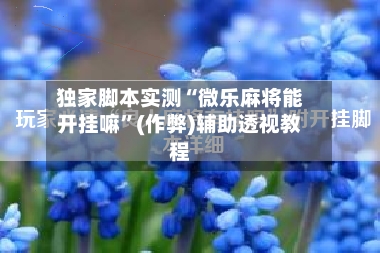 独家脚本实测“微乐麻将能开挂嘛”(作弊)辅助透视教程