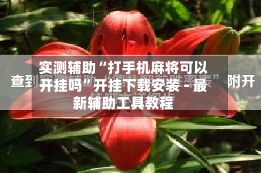 实测辅助“打手机麻将可以开挂吗”开挂下载安装 - 最新辅助工具教程