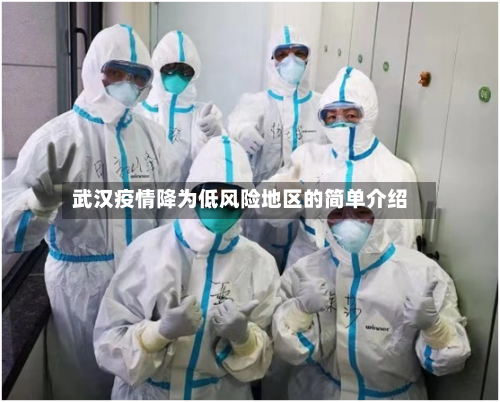 武汉疫情降为低风险地区的简单介绍