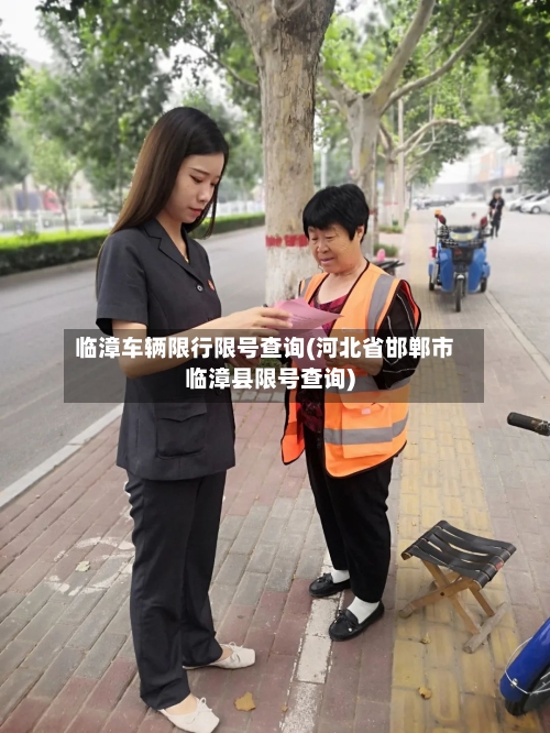 临漳车辆限行限号查询(河北省邯郸市临漳县限号查询)