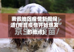南昌地区疫情新闻报道(南昌疫情开始爆发的地点)