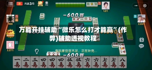 万能开挂辅助“微乐怎么打才能赢”(作弊)辅助透视教程