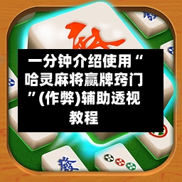 一分钟介绍使用“哈灵麻将赢牌窍门”(作弊)辅助透视教程