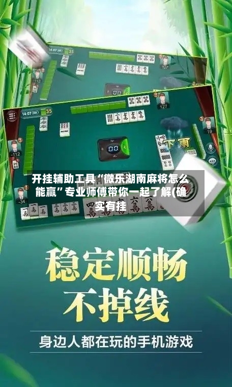 开挂辅助工具“微乐湖南麻将怎么能赢”专业师傅带你一起了解(确实有挂