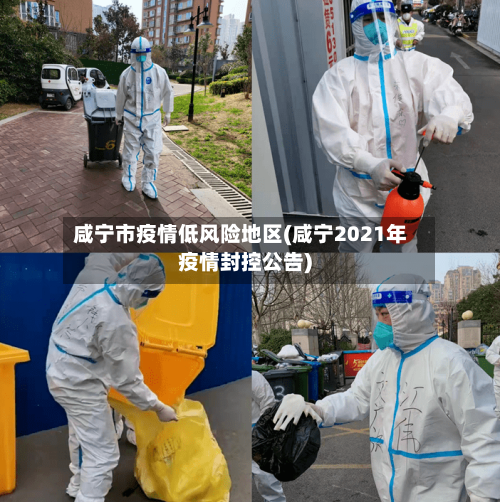 咸宁市疫情低风险地区(咸宁2021年疫情封控公告)