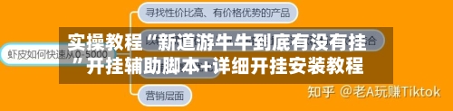 实操教程“新道游牛牛到底有没有挂”开挂辅助脚本+详细开挂安装教程