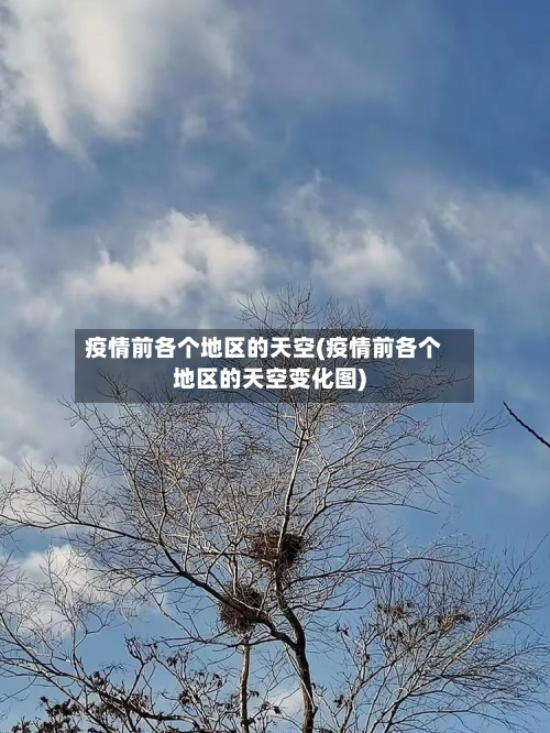 疫情前各个地区的天空(疫情前各个地区的天空变化图)