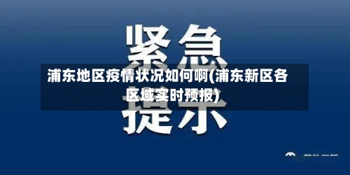 浦东地区疫情状况如何啊(浦东新区各区域实时预报)