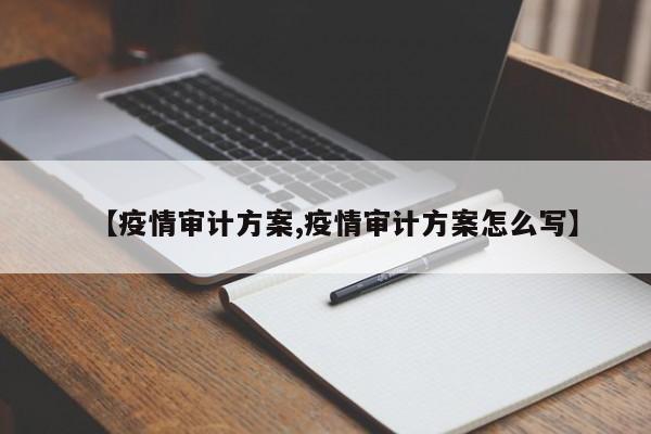 【疫情审计方案,疫情审计方案怎么写】