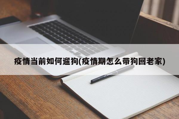 疫情当前如何遛狗(疫情期怎么带狗回老家)