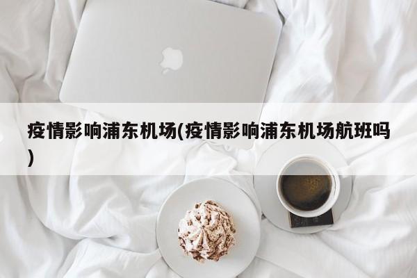 疫情影响浦东机场(疫情影响浦东机场航班吗)