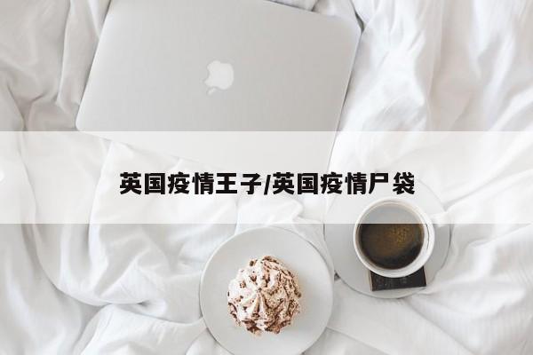 英国疫情王子/英国疫情尸袋