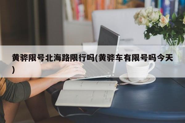 黄骅限号北海路限行吗(黄骅车有限号吗今天)