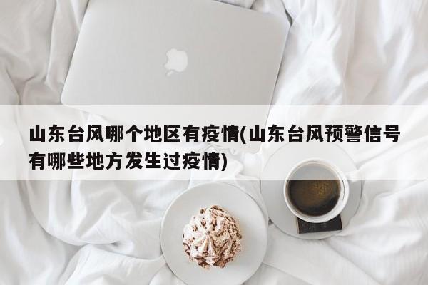 山东台风哪个地区有疫情(山东台风预警信号有哪些地方发生过疫情)