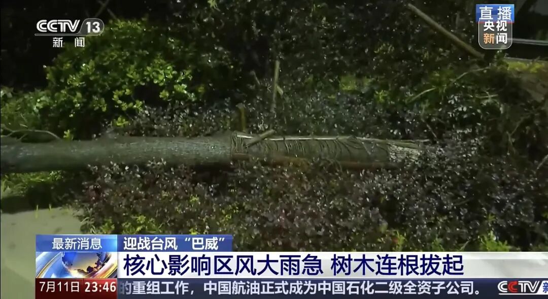 “巴威”最新路径公布！0时在浙江乐清二次登陆，5时减弱为强热带风暴	，中心最大风力11级